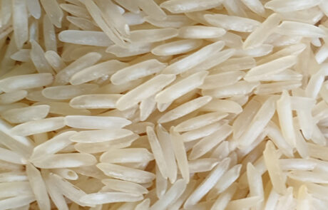 1121 أرز بسمتي على البخار 9 1121 steam basmati rice