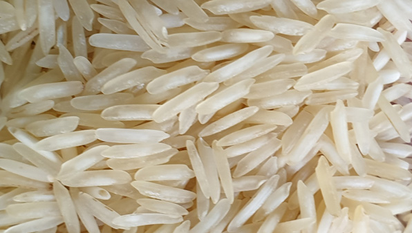 1121 steam basmati rice