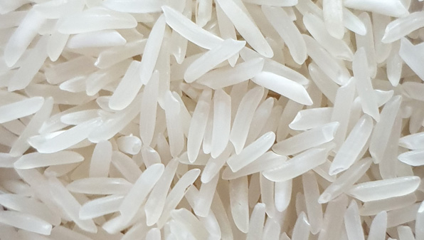 sharbati rice
